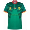 Maillot de Supporter Cameroun Domicile Coupe du Monde 2022 Pour Homme